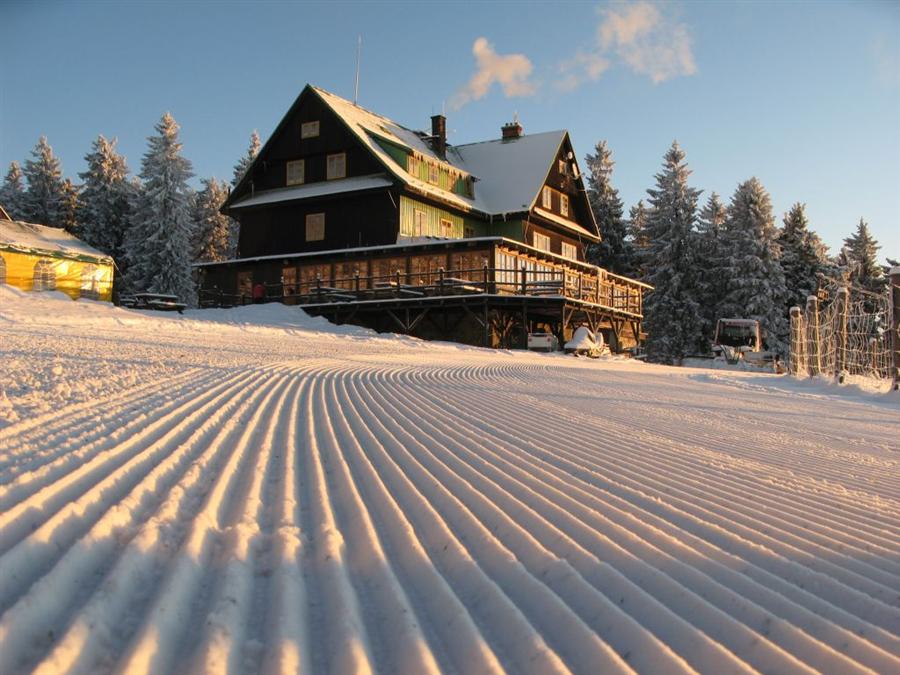 SKI AREL PAPRSEK U STARHO MSTA POD SN̎NKEM