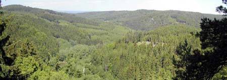 CHKO Slavkovsk les