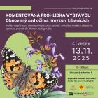 Komentovan prohdka vstavou: Obnoven sad oima hmyzu v Libanicch